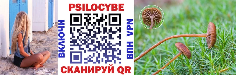 Галлюциногенные грибы Cubensis  Тырныауз 